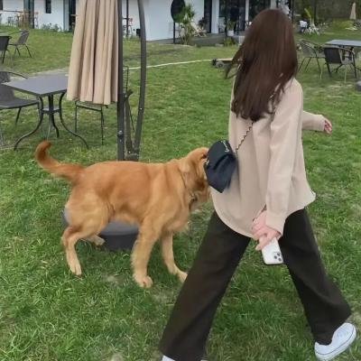 新科学怪人